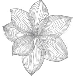 Flower Template For Coloring Page - Printable Coloring page