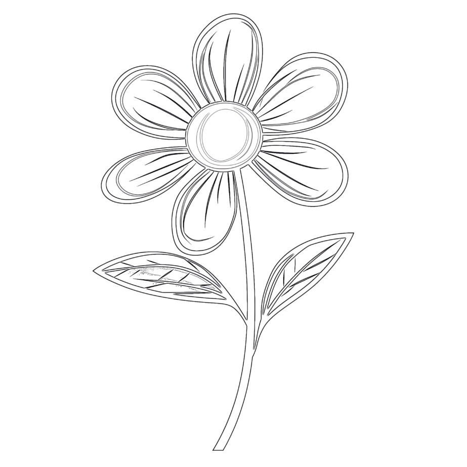 Flower With Petals Coloring Page