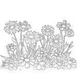 Free Colouring Sheets Flowers