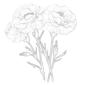 Free Printable Color By Number Flowers | Coloring Pages Mimi Panda