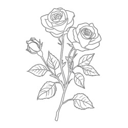 Free Printable Coloring Pages Of Roses - Printable Coloring page