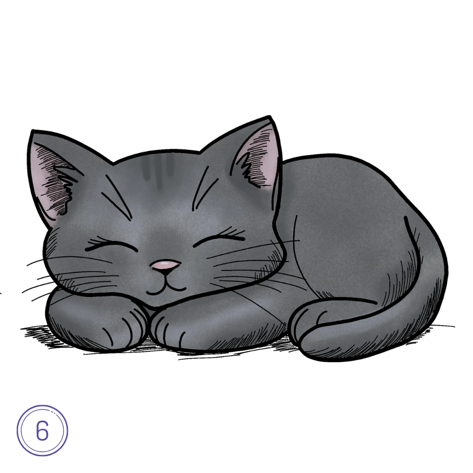 How To Draw A Sleeping Black Cat Step 6