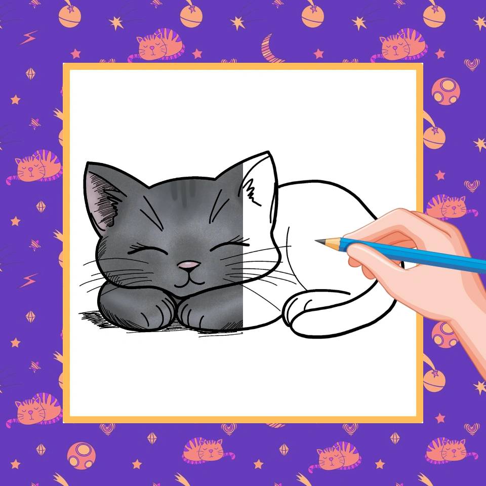 How To Draw A Sleeping Black Cat