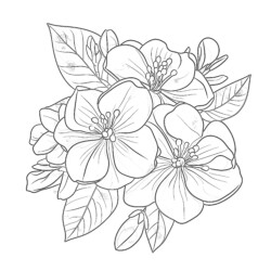 Jasmine Printable Coloring Pages - Printable Coloring page