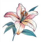 Lilies Coloring Pages 2 2