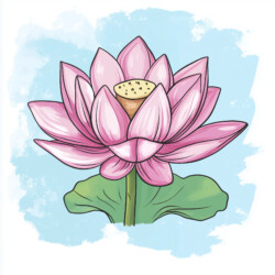 Lotus Flower Pictures For Colouring - Origin image