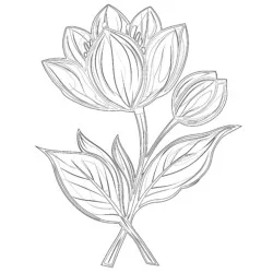 Plant Coloring Pages For Adults - Printable Coloring page