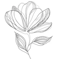Plant For Coloring Page - Printable Coloring page