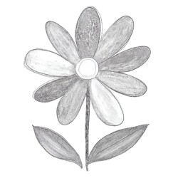 Printable Flower Colouring - Printable Coloring page