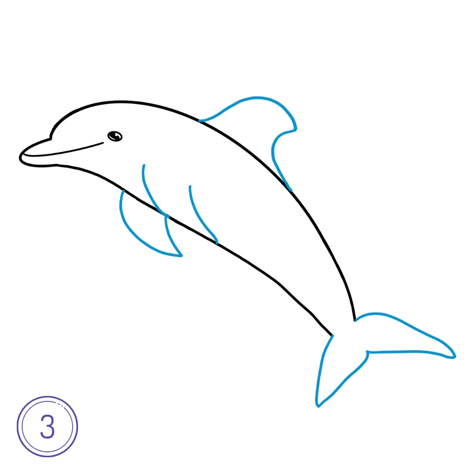 Wie man einen Delfin zeichnet Schritt 3