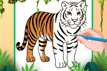How to Draw a Tiger – A Step-by-Step Guide From Mimi Panda