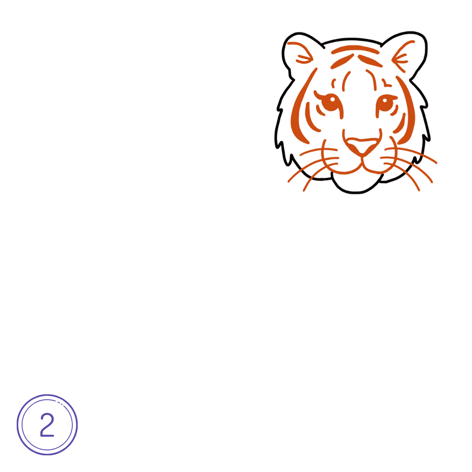 How to Draw a Tiger Step 2