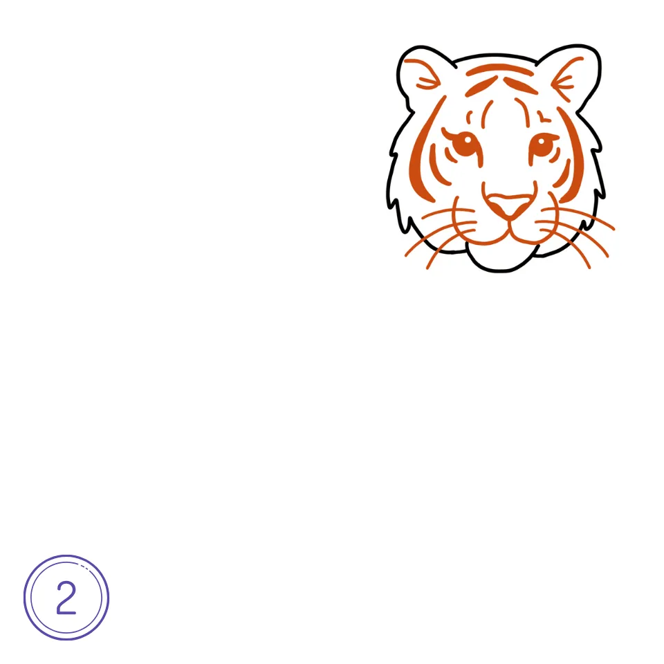 How to Draw a Tiger Step 2