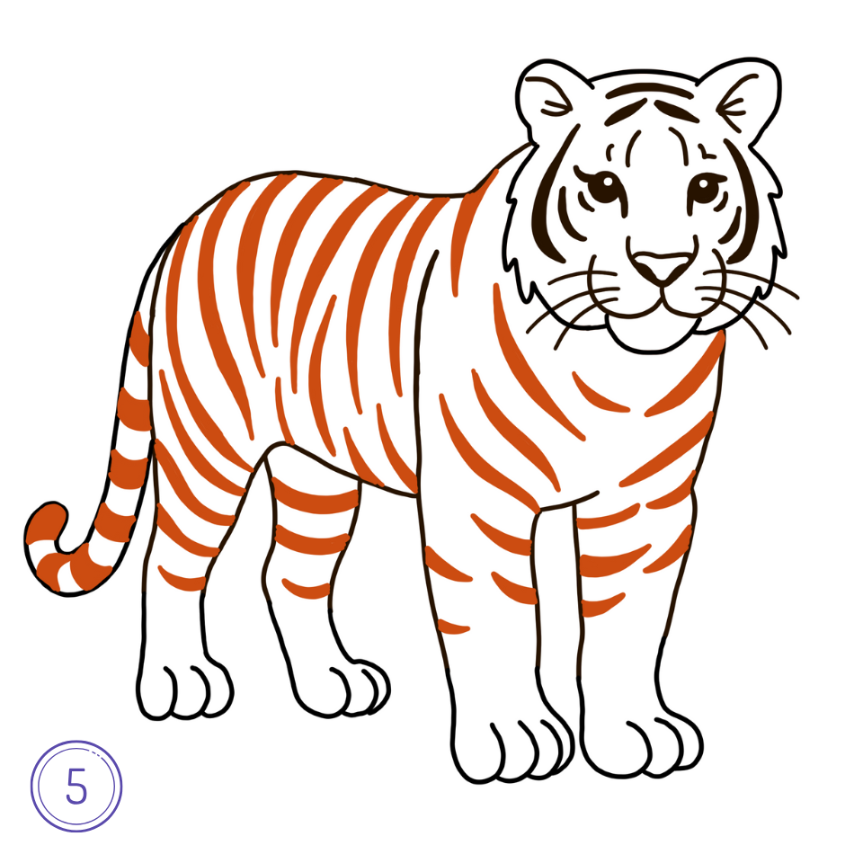 How to Draw a Tiger Step 5