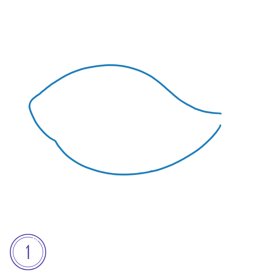 Comment dessiner un requin Étape 1