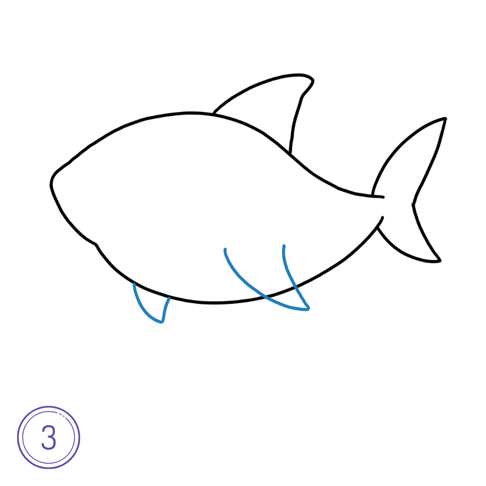 Comment dessiner un requin Étape 3