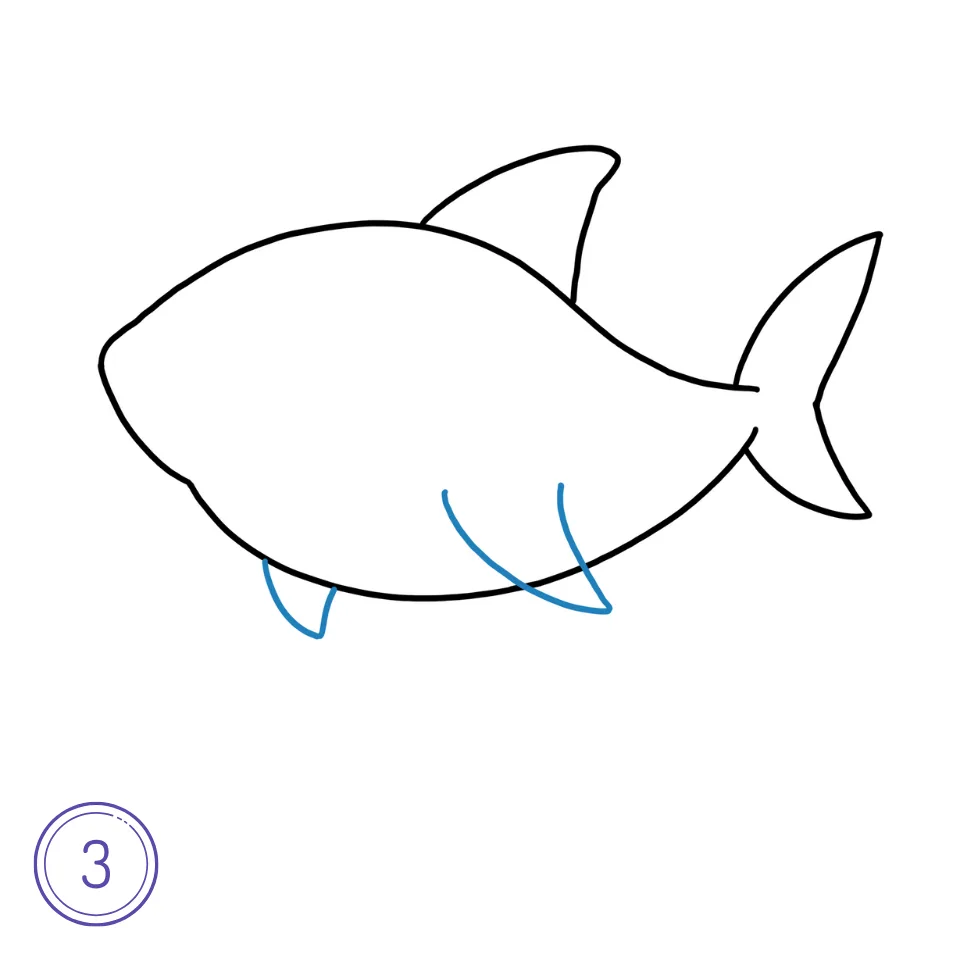 How to Draw a Shark Step 3