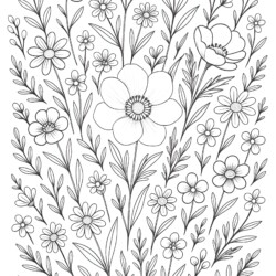 Wild Flower Coloring Page - Printable Coloring page