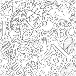 Body Coloring - Printable Coloring page