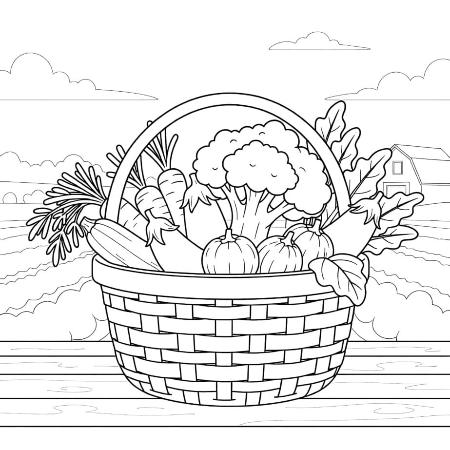 Vegetable Color Sheet