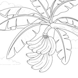 Banana Coloring Picture - Printable Coloring page