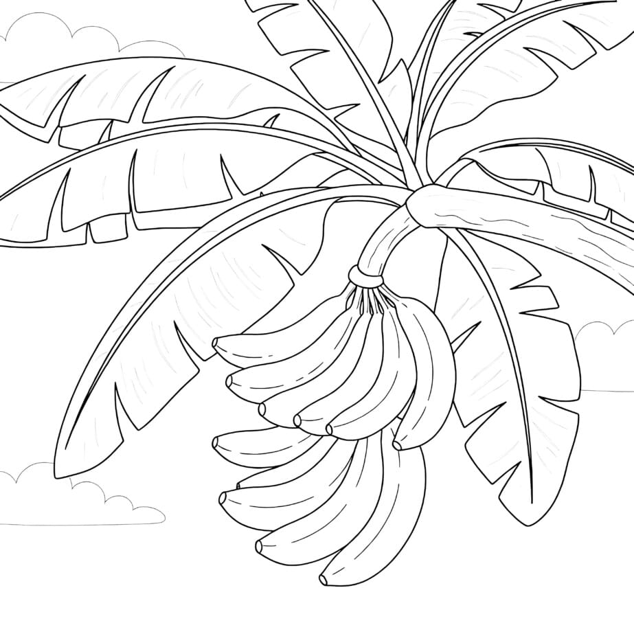Banana Coloring Picture