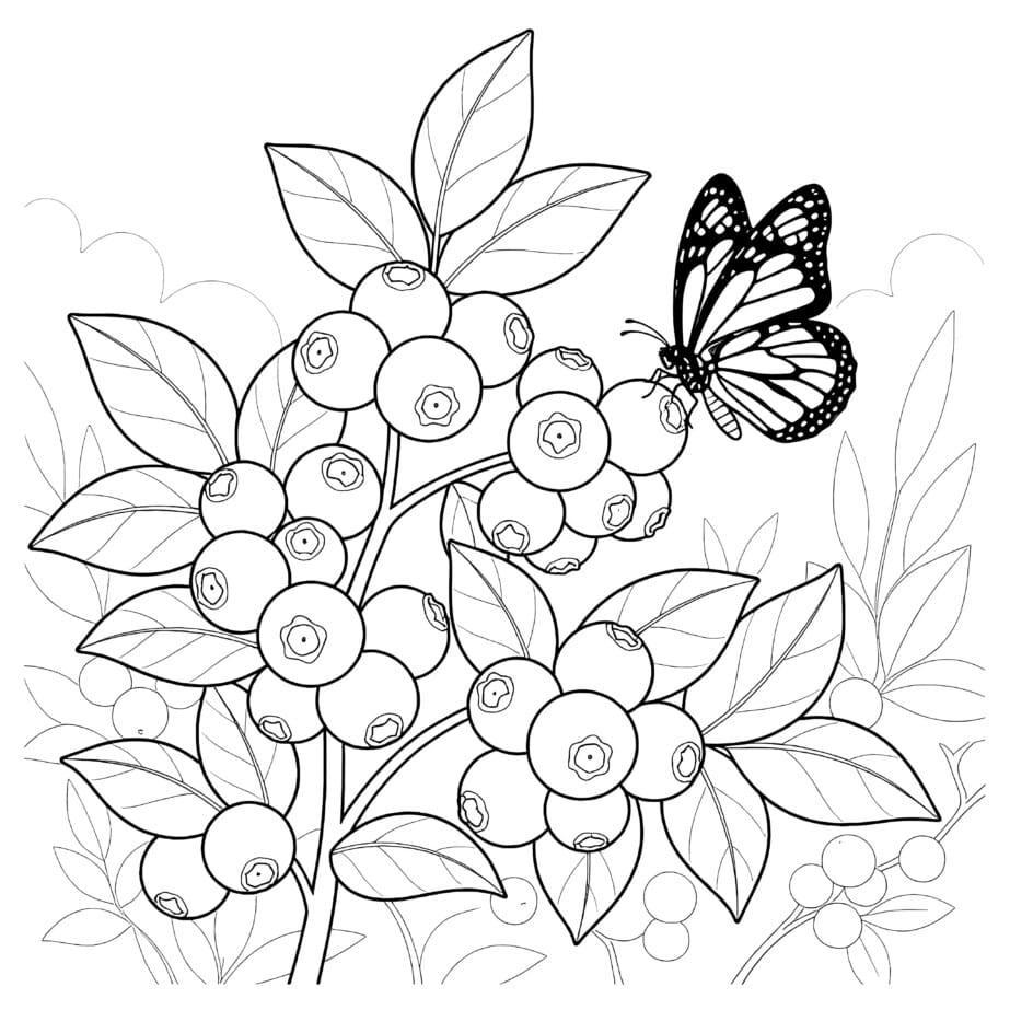 Blueberry Coloring Page
