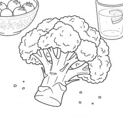 Broccoli Coloring - Printable Coloring page