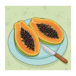 Papaya Coloring - Origin image