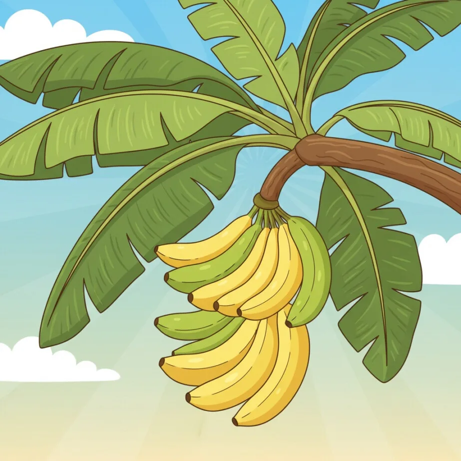 Banana Coloring Picture | Coloring Pages Mimi Panda