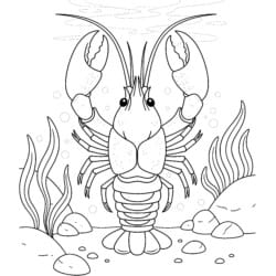 Crawfish Color Sheet - Printable Coloring page