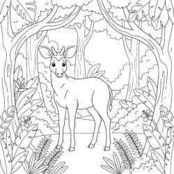 Okapi In Jungle Clearing Coloring Page - Printable Coloring page