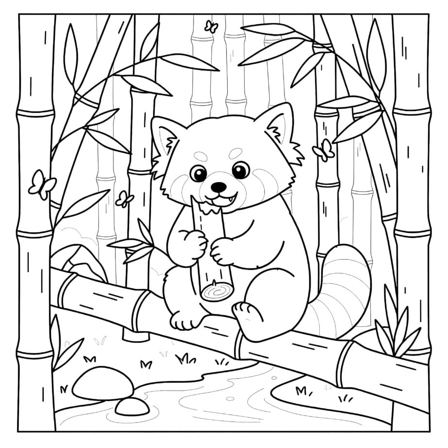 Red Panda Eating Bamboo Coloring Page