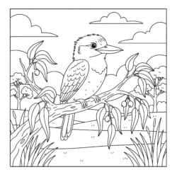 Kookaburra On Eucalyptus Branch Coloring Page - Printable Coloring page