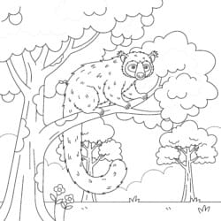 Binturong In Trees Coloring Page - Printable Coloring page