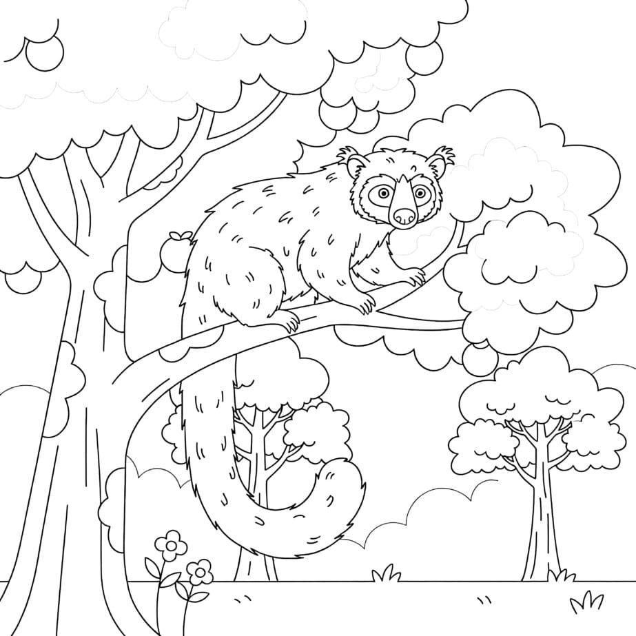 Binturong In Trees Coloring Page