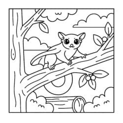 Sugar Glider On Branch Coloring Page - Printable Coloring page