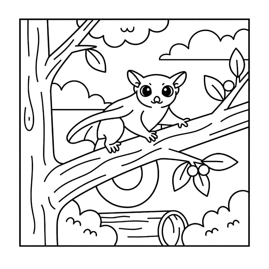 Sugar Glider On Branch Coloring Page