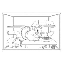 Chinchilla With Fluffy Tail Coloring Page - Printable Coloring page