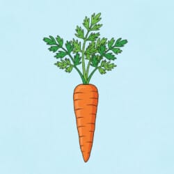 Carrot Picture For Colouring - Origin image