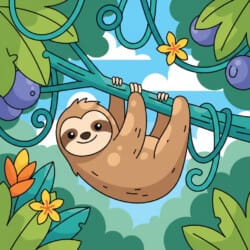 Sloth In Canopy Coloring Page - Origin image