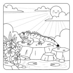 Iguana Basking Rock Coloring Page - Printable Coloring page