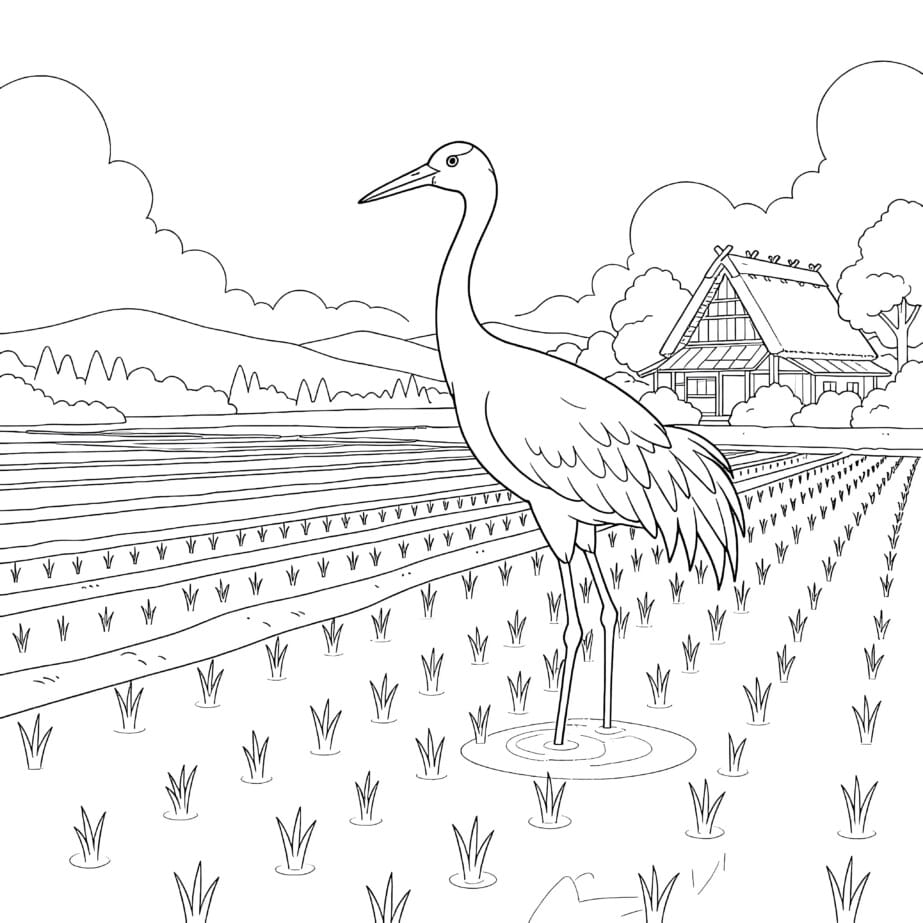 Crane In Rice Field Coloring Page