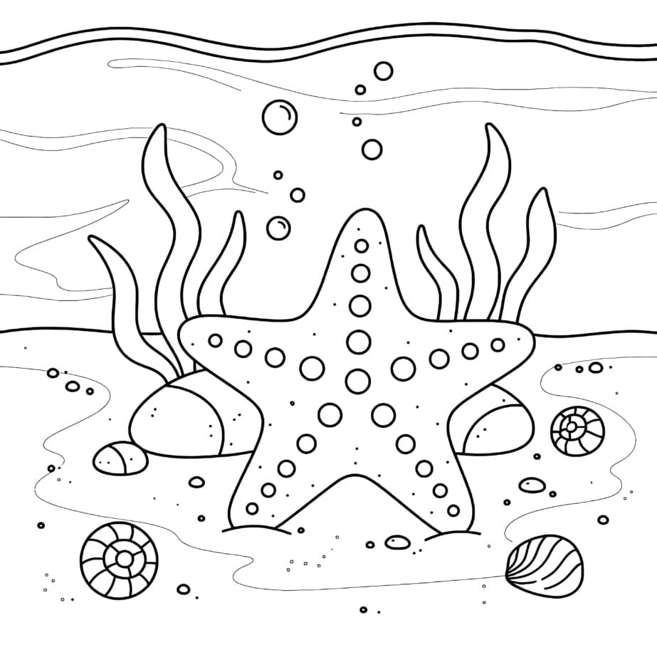 Starfish On Sand Coloring Page
