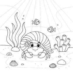 Crab With Seashell Coloring Page - Printable Coloring page