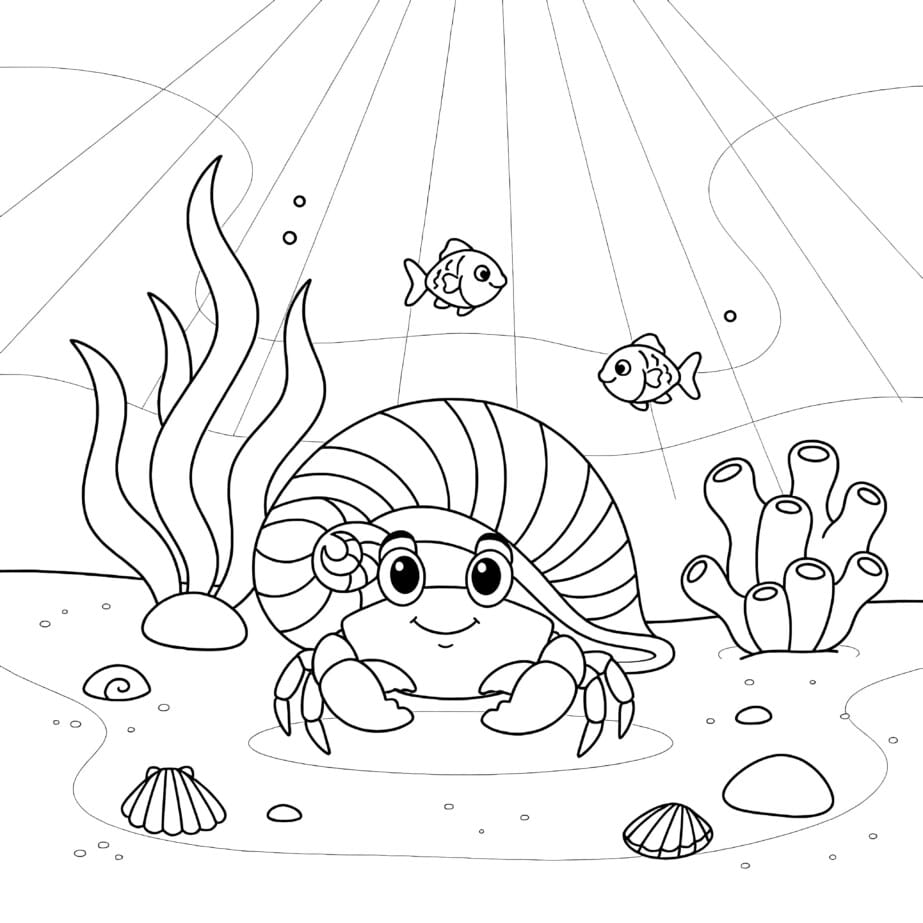 Crab With Seashell Coloring Page