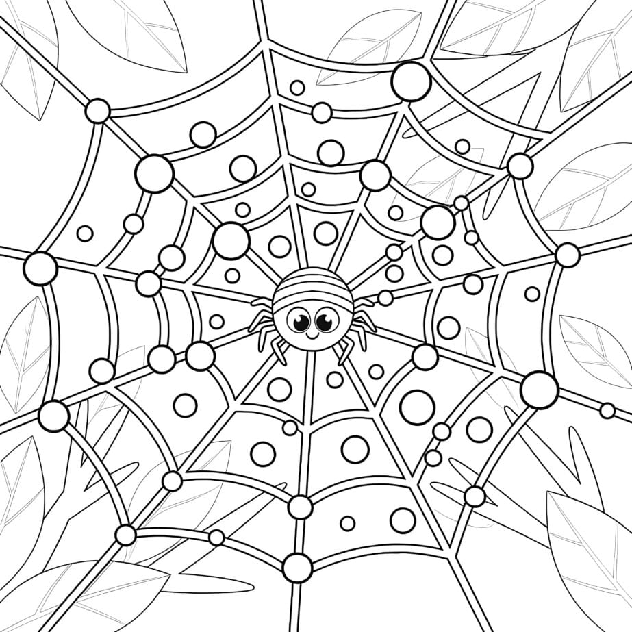 Spiderweb With Dew Coloring Page