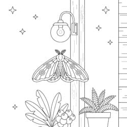 Moth Under Porch Light Coloring Page - Printable Coloring page