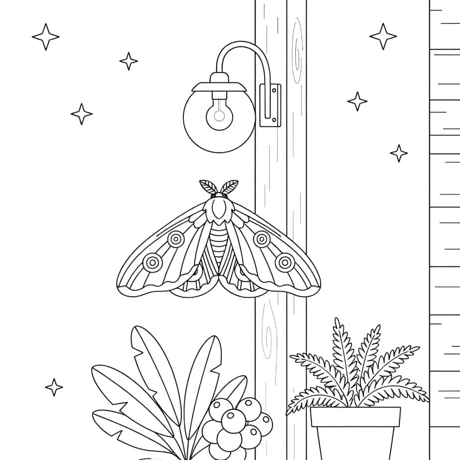 Moth Under Porch Light Coloring Page