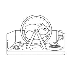 Hamster In Wheel Coloring Page - Printable Coloring page
